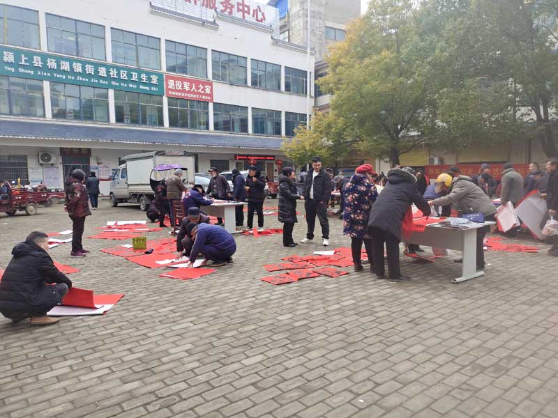 翰墨迎春启新程 文化惠民暖杨湖--颍上县杨湖镇2026年迎新春送万福送春联活动圆满举办(图12)